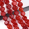 Dyed Natural White Jade Beads Strands G-T143-16M-1