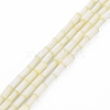 Glass Silk Stain Style Beads Strands GLAA-N047-001B-02-1