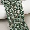 Natural Green Spot Jasper Beads Strands GG-CBA787B-A13-1