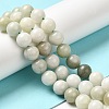 Natural Jade Beads Strands G-H298-A16-04-2