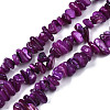 Natural Freshwater Shell Beads Strands SHEL-S278-070B-1