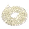 Electroplate Transparent Glass Beads Strands GLAA-H021-01B-FR04-4