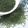 MIYUKI Round Rocailles Beads SEED-G007-RR0350-1