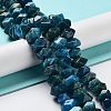 Natural Apatite Beads Strands G-D091-A09-2