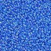 12/0 Grade A Round Glass Seed Beads X-SEED-Q010-M545-2