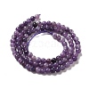 Natural Lepidolite/Purple Mica Stone Beads Strands G-B029-B03-01-2