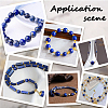 1 Strand Dyed Grade A Natural Lapis Lazuli Beads Strands G-PA0002-65B-6