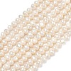 Natural Cultured Freshwater Pearl Beads Strands PEAR-L034-06A-2