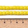 Opaque Glass Beads Strands GLAA-L050-C21-4