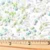 2 Sets Glass Seed Beads DIY-FS0008-27B-5