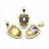 Natural Botswana Agate Pendants G-O176B-04G-1