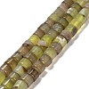 Natural Agate Beads Strands G-B079-F01-01-1