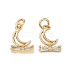 Brass Micro Pave Clear Cubic Zirconia Charms CU-CBAF0F8-16G-G-1