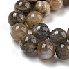 Natural Black Moonstone Beads Strands G-Q183-A01-02-4