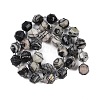 Natural Black Netstone Beads Strands G-O201B-143G-4