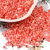 Two Tone Inside Colours Transparent Glass Seed Beads SEED-C004-05G-1