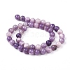 Natural Lepidolite/Purple Mica Stone Beads Strands G-K415-10mm-7