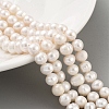 Natural Cultured Freshwater Pearl Beads Strands PEAR-C003-12F-2