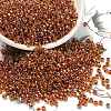 TOHO 11/0 Round Beads X-SEED-TR11-1825-1