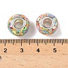 Transparent Resin Rondelle European Beads RESI-S023-11-3