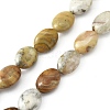 Natural Crazy Agate Beads Strands G-WH0026-20-1