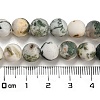 Natural Tree Agate Frosted Agate Round Gemstone Beads Strands X-G-O151-01-8mm-2