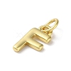 Rack Plating Brass Charms KK-P245-06G-F-2