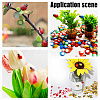 3 Style Wooden Home Display Decorations WOOD-AR0001-34-7