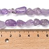 Natural Amethyst(Dyed & Heated) Beads Strands G-P497-01E-21-5