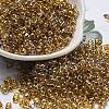 Glass Seed Beads SEED-K009-10B-02-1