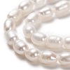 Natural Cultured Freshwater Pearl Beads Strands PEAR-L033-62-2