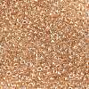 MIYUKI Round Rocailles Beads X-SEED-G008-RR0234-2
