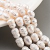 Natural Cultured Freshwater Pearl Beads Strands PEAR-P062-14B-2