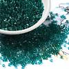 Transparent Glass Seed Beads SEED-S042-21B-02-1