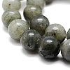 Natural Labradorite Bead Strands X-G-P256-01-6mm-3