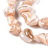 Natural Trochid Shell/Trochus Shell Beads Strands SSHEL-T017-01-3