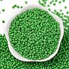 8/0 Baking Paint Glass Seed Beads SEED-M012-02A-39-2