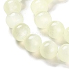 Natural Selenite Beads Strands G-C142-01A-05-4