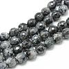 Natural Larvikite Bead Strands G-R176-6mm-07-1