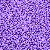 13/0 Glass Seed Beads SEED-T005-14A-A17-3