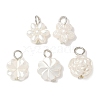 10Pcs 2 Colors Plastic Pearl Charms PALLOY-JF04027-2