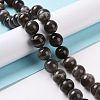 Natural Black Moonstone Beads Strands G-J157-12mm-05-2