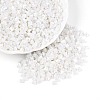 Baking Paint Glass Seed Beads SEED-N007-30L-2