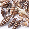 Natural Spiral Shell Beads SSHEL-S258-91-1