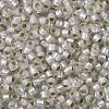 TOHO Round Seed Beads SEED-JPTR08-0021F-2