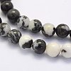 Natural Black Zebra Jasper Beads Strands G-G697-F02-6mm-3