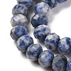 Natural Blue Spot Jasper Beads Strands G-K380-A02-01-4