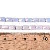 Anti-Tarnish Electroplate Glass Beads Strands GLAA-T025-29E-4
