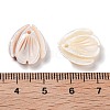 Natural Freshwater Shell Pendants SHEL-D082-04A-3