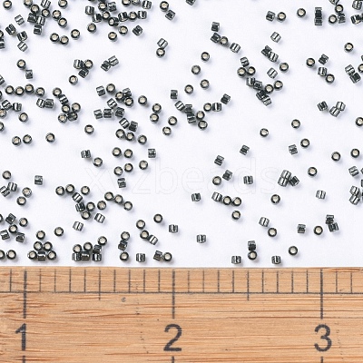 MIYUKI Delica Beads SEED-J020-DB0613-1